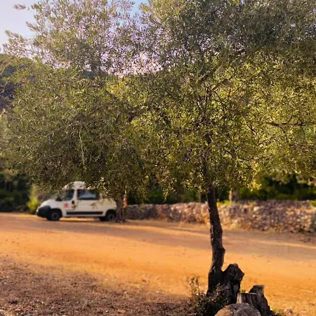 Camping Himara Camping *