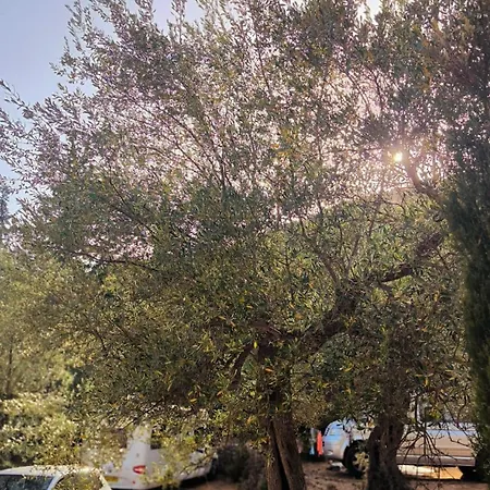 مكان تخييم Camping Himara *